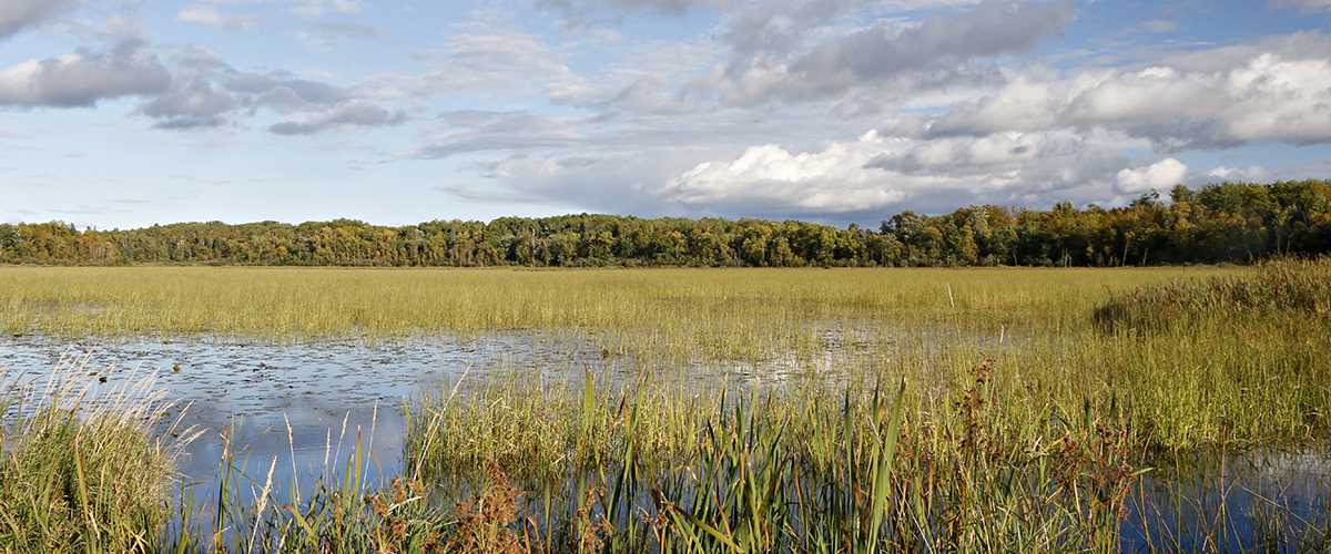 Gifts of Land Ducks Unlimited